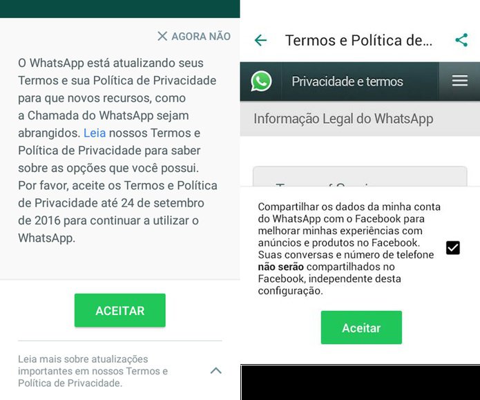 Whatsapp termos